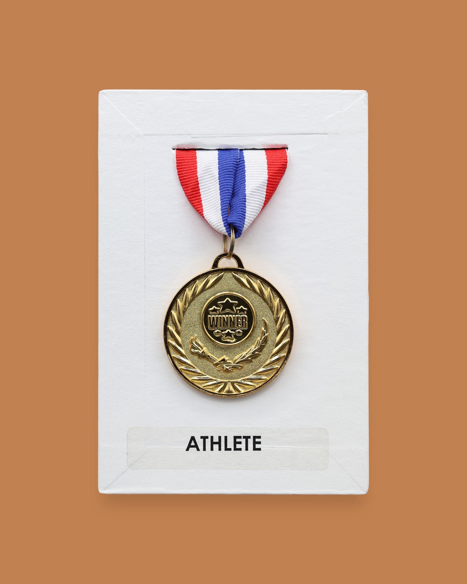 The Award symbol is circular gold plated medal embedded in the center position on a white background with red, white, blue ribbon fabric at the top of the award medal. Labeled 