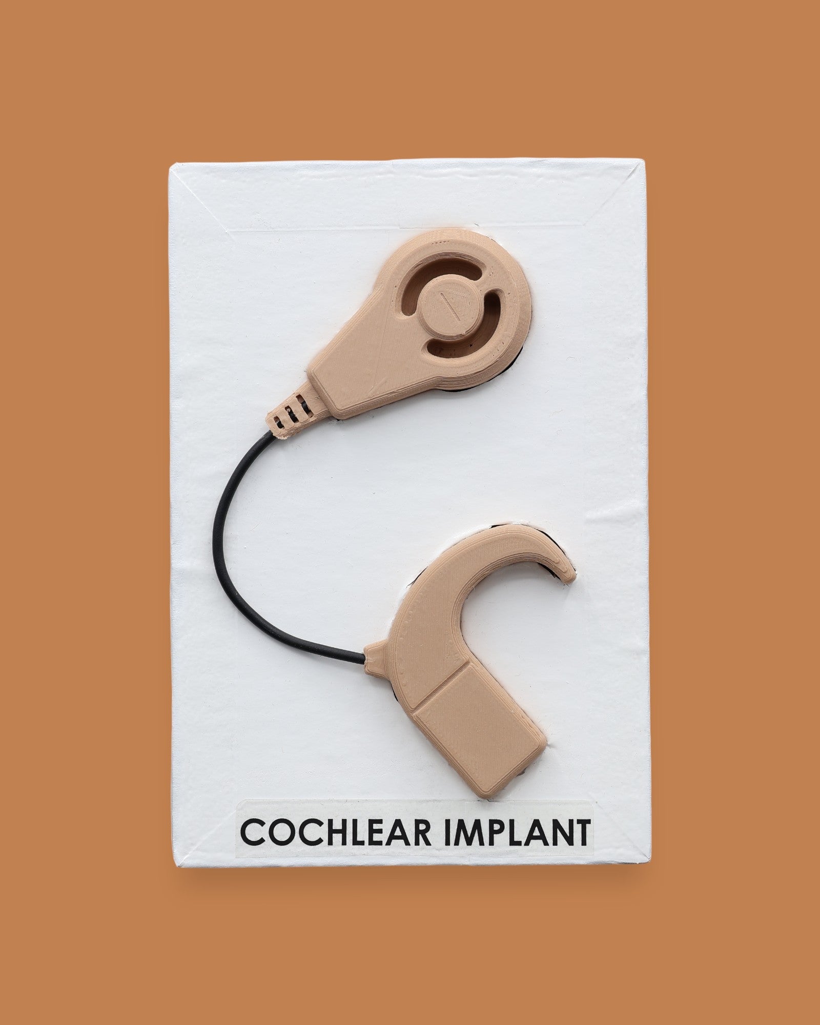 The Cochlear Implant symbol is 3D printed on a tan or sand colored filament on a white backing. For visual high contrast the Cochlear Implant could be printed in high contrast color of choice. 