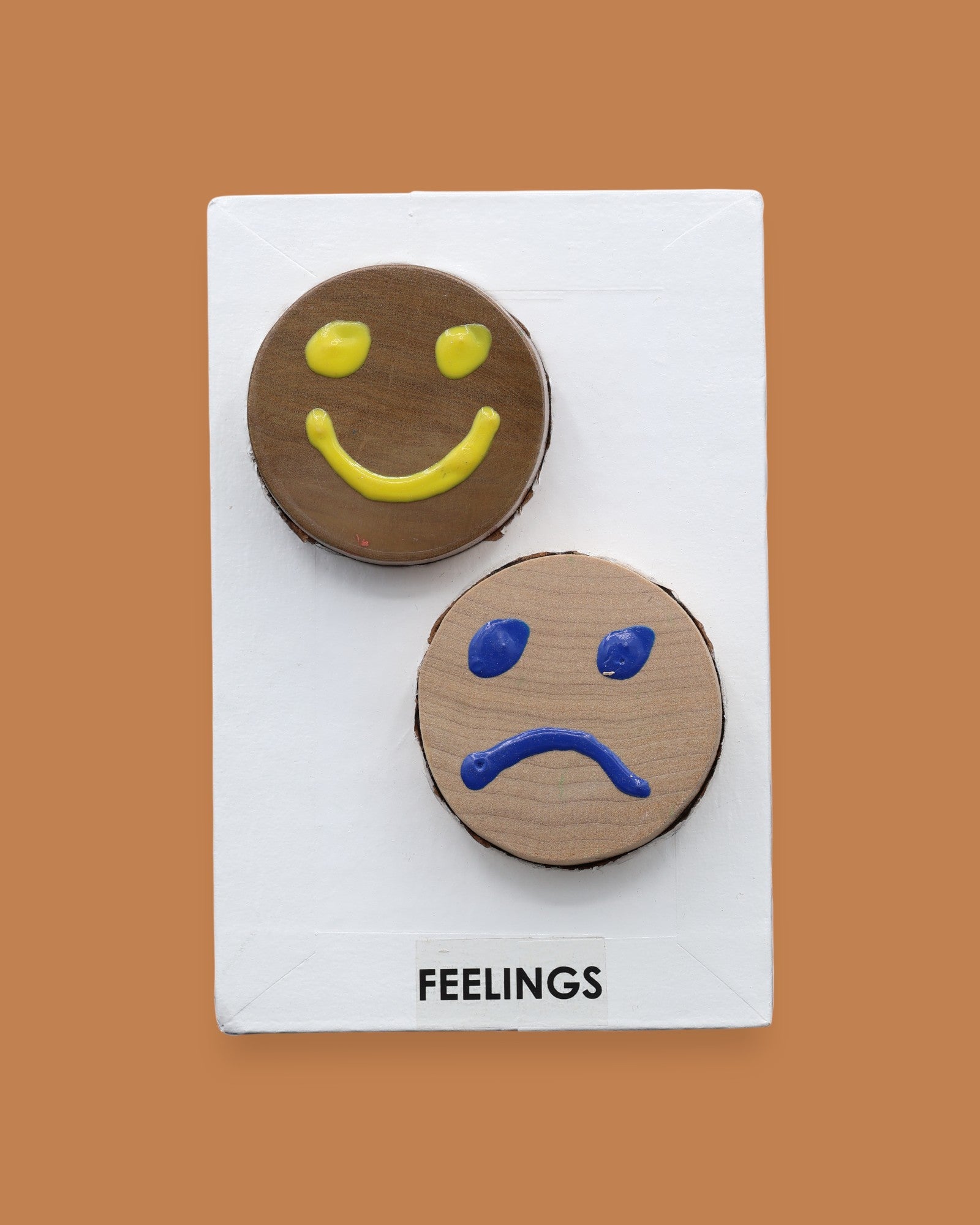 The Feelings symbol with raised handpainted happy and sad face circles embedded diagonally. Labeled "Feelings" in black font on white backing. The background of the symbol is white. 