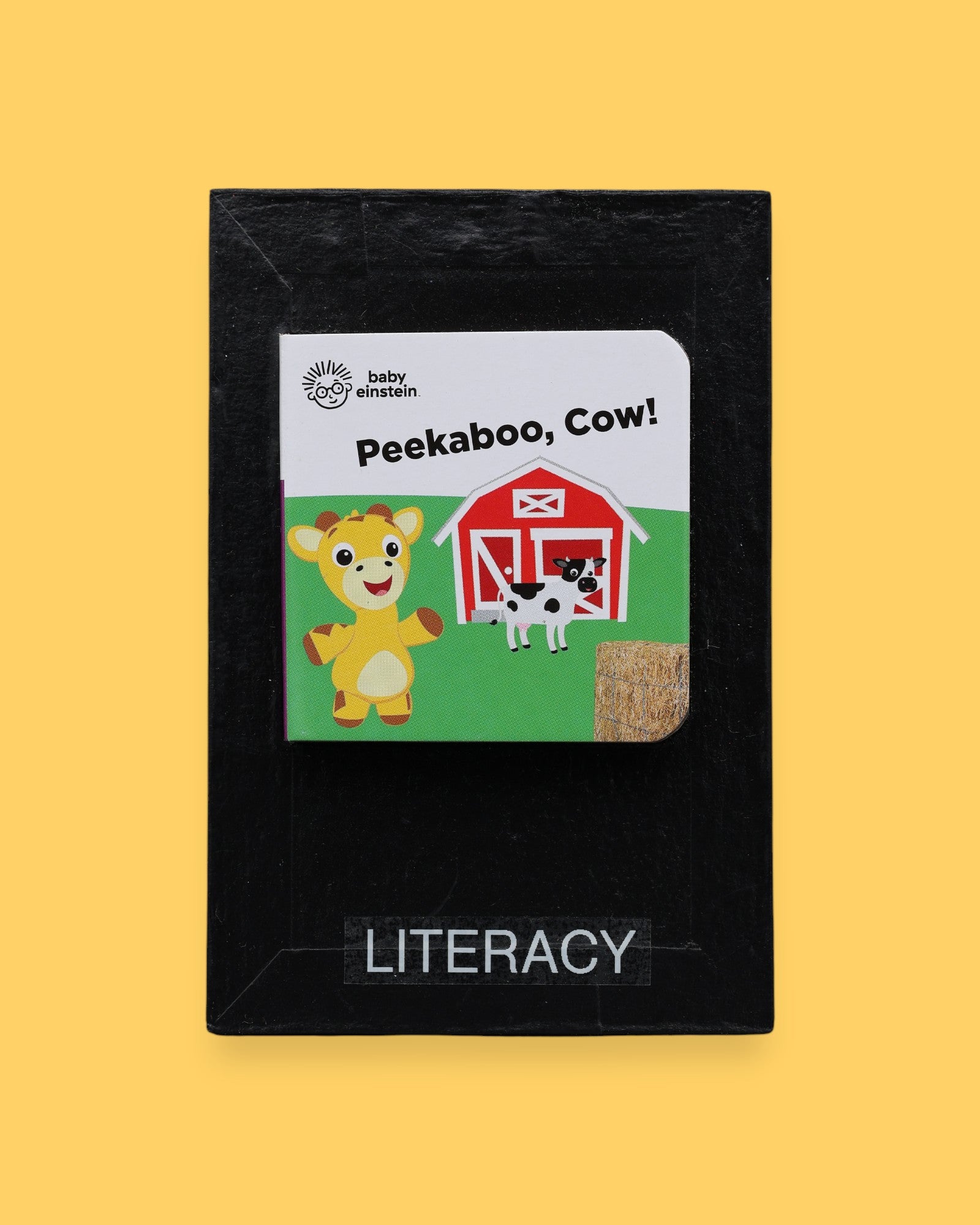 The Literacy symbol has mini children's board book titled "Let's Make Lunch" with a cartoon red bird holding corn. Background shows a picnic setting. Labeled "Literacy" in black font on white backing at the bottom of symbol . The background of the symbol is white.
