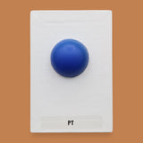 PT