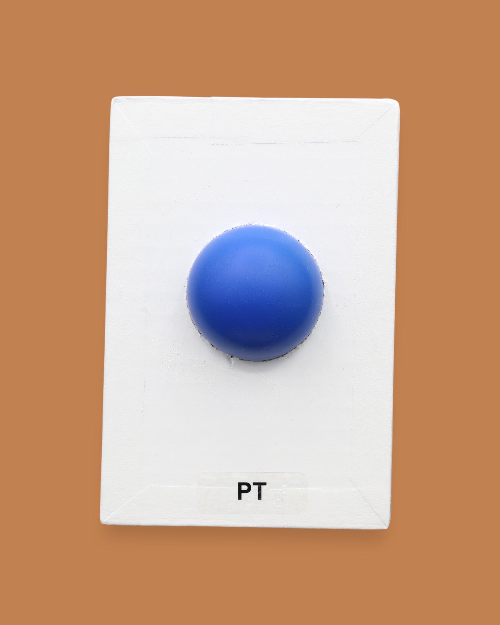 The PT symbol is a small squishy stress ball is embedded in the center. Labeled "PT" in black font on white backing at the bottom of the symbol. The background on the symbol is white..