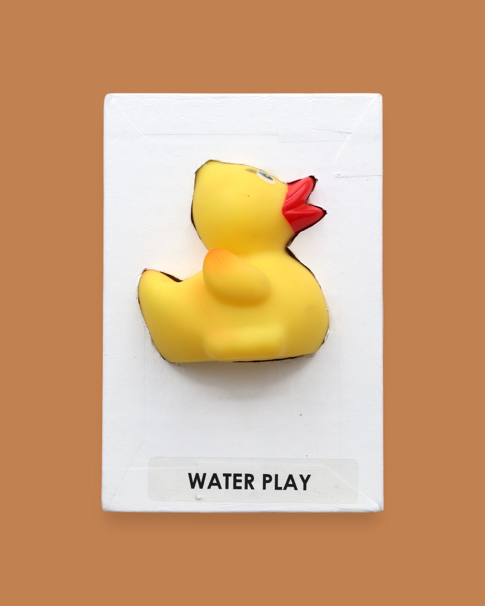 The Water Play symbol embedded with a yellow rubber duck embedded in the center. Labeled "Water Play" in black font on white backing at the bottom of the symbol. Tha background of the symbol is white. 